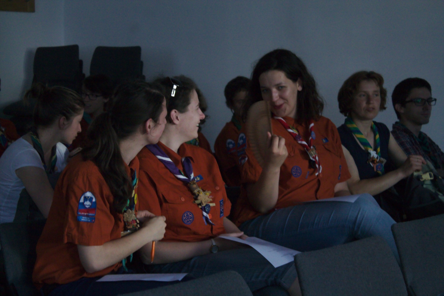 Izredni svet Ljubljanske regije