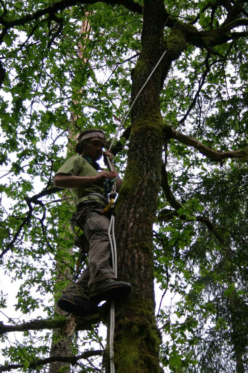 Žimarjenje s prusikom