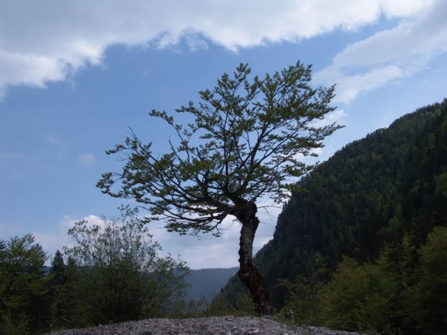 Prelepe tri dni nam je podaril Gospod. Nekaj treme zaradi izpitov in predstavljanja projektov za začetek, duhovno bogato puščavo, služenje na Matkovem in lep deževen dan za konec.