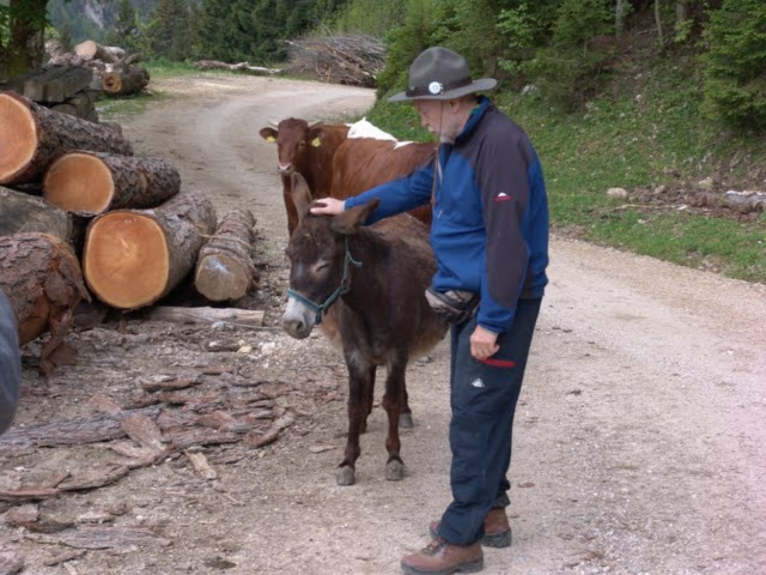 Prelepe tri dni nam je podaril Gospod. Nekaj treme zaradi izpitov in predstavljanja projektov za začetek, duhovno bogato puščavo, služenje na Matkovem in lep deževen dan za konec.