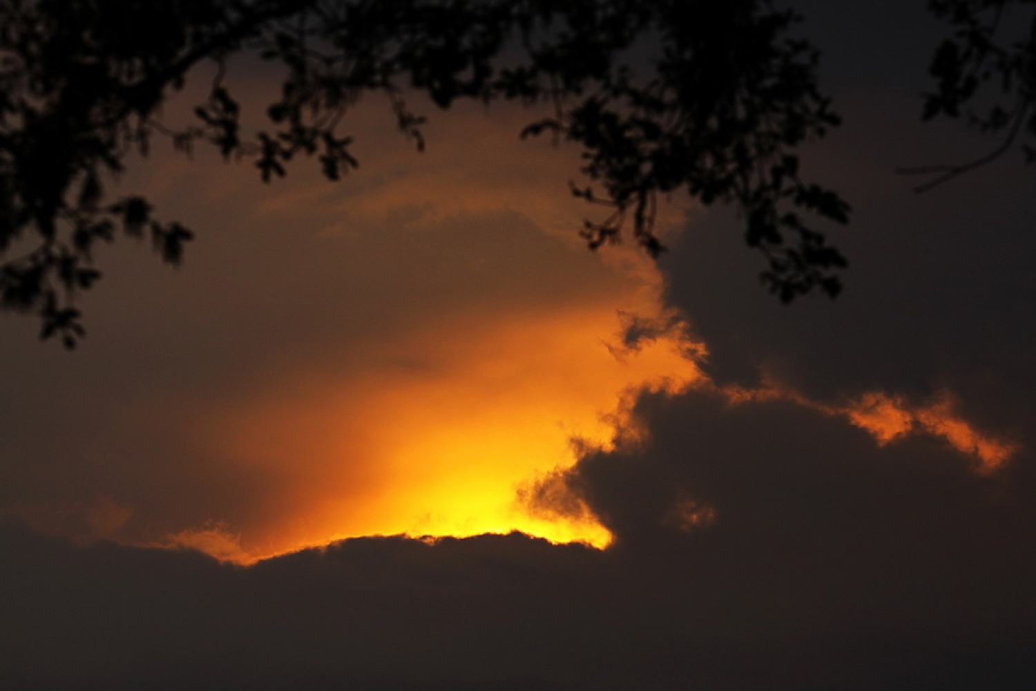 Zaključek krasnega dneva