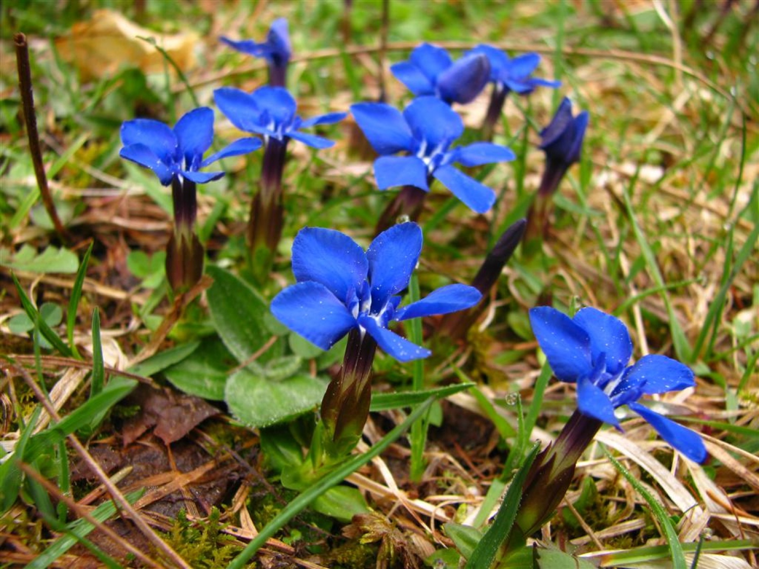 Vsi trije trenerji Skavtske akademije ZBOKSS smo se zbrali v Matkovem kotu, da bi načrtovali nadaljevanje druge ponovitve programa Skavt, se družili in povezali v trden tim.