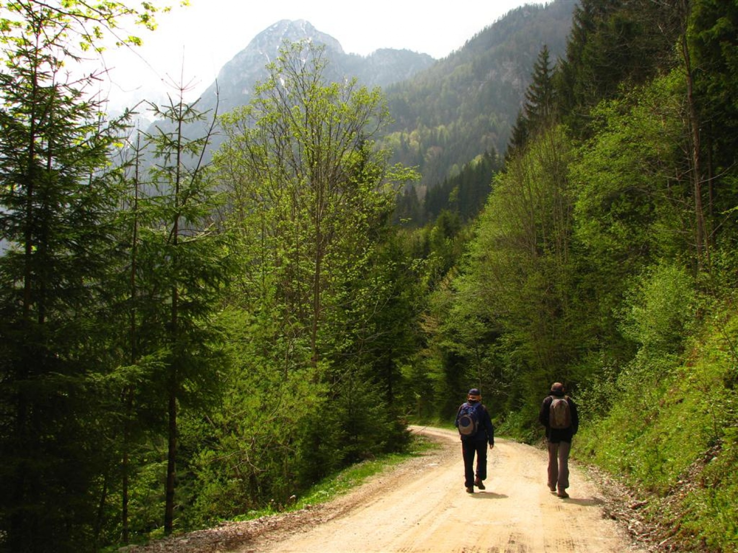 Vsi trije trenerji Skavtske akademije ZBOKSS smo se zbrali v Matkovem kotu, da bi načrtovali nadaljevanje druge ponovitve programa Skavt, se družili in povezali v trden tim.