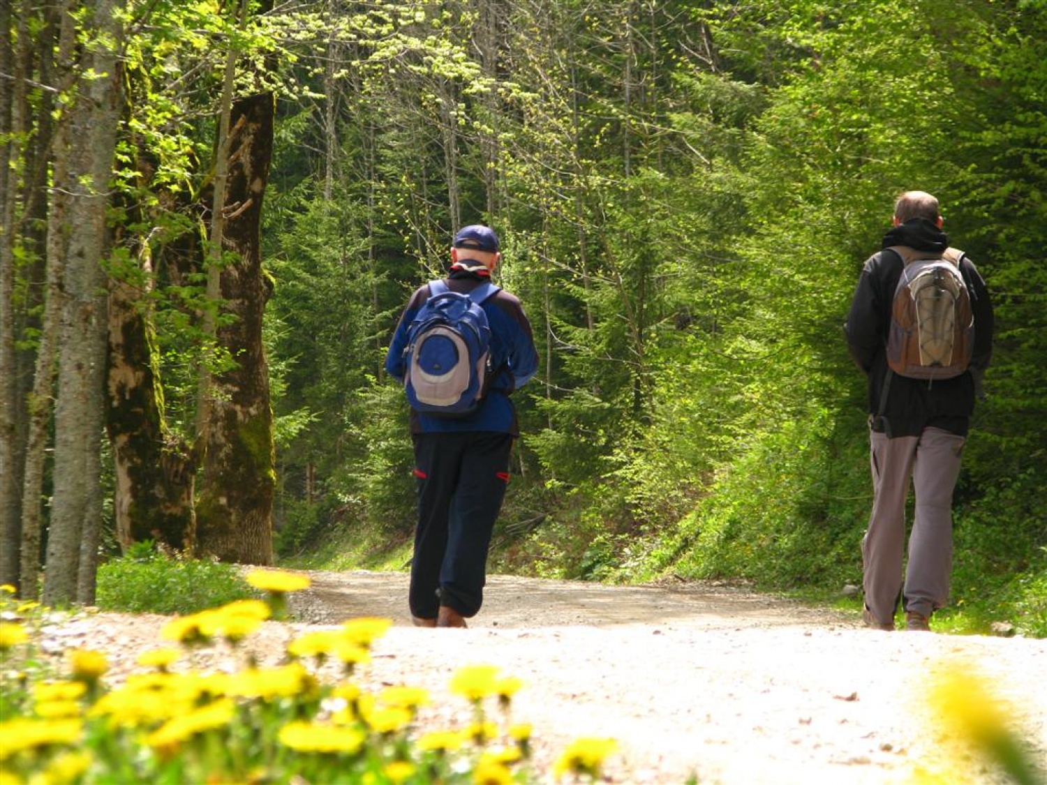 Vsi trije trenerji Skavtske akademije ZBOKSS smo se zbrali v Matkovem kotu, da bi načrtovali nadaljevanje druge ponovitve programa Skavt, se družili in povezali v trden tim.
