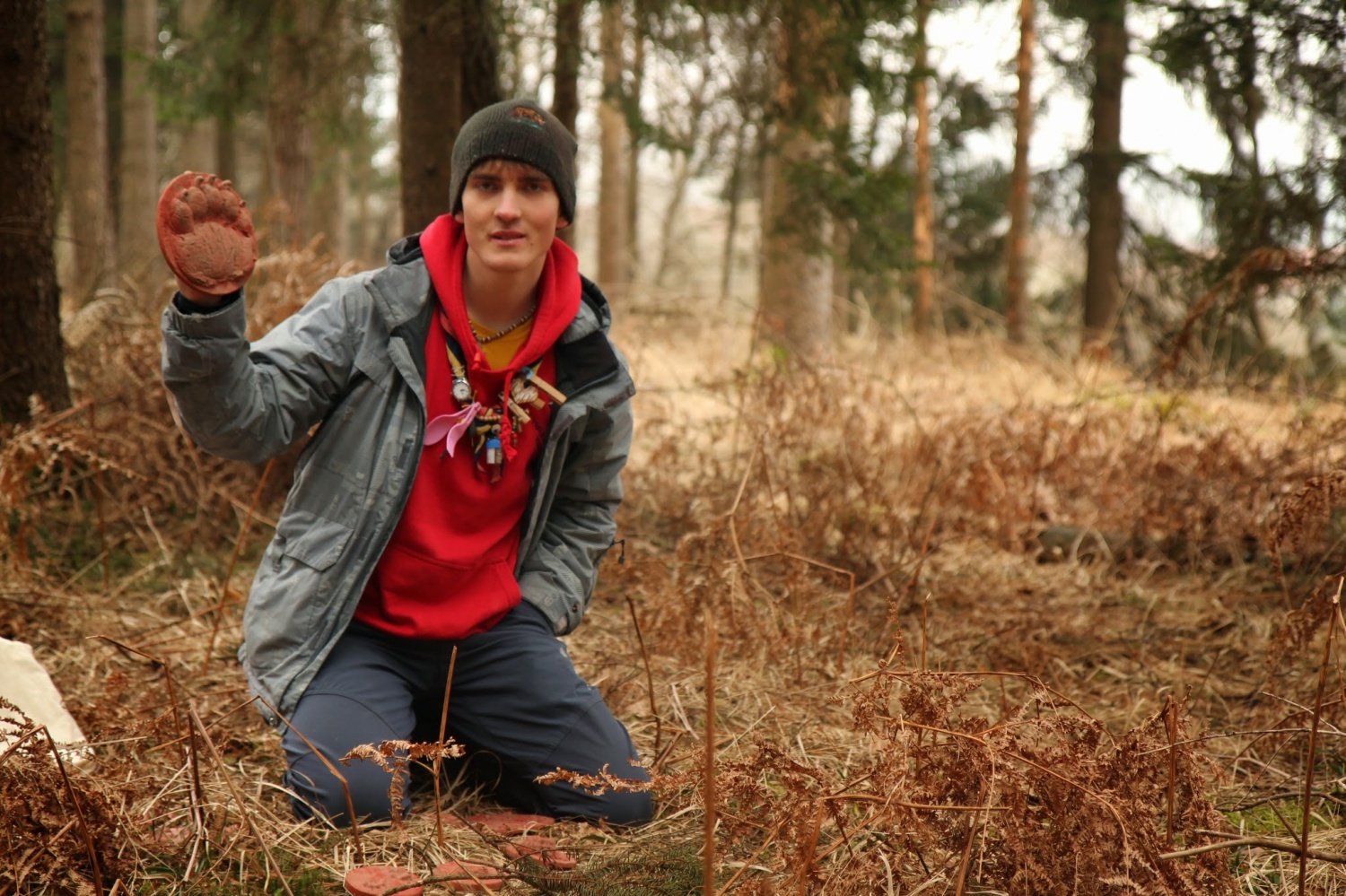 Stezosledski dan 2015