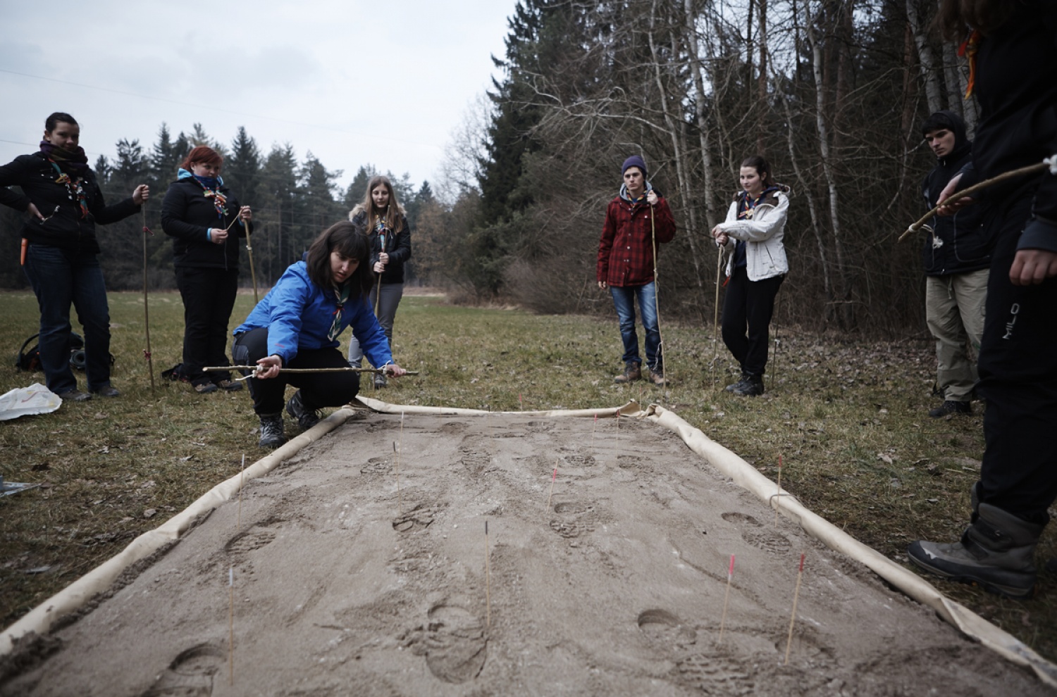 Stezosledski dan 2015