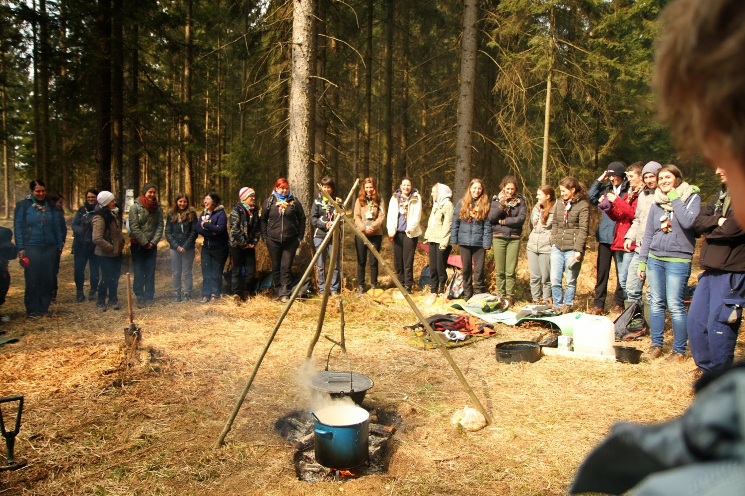 Stezosledski dan 2015