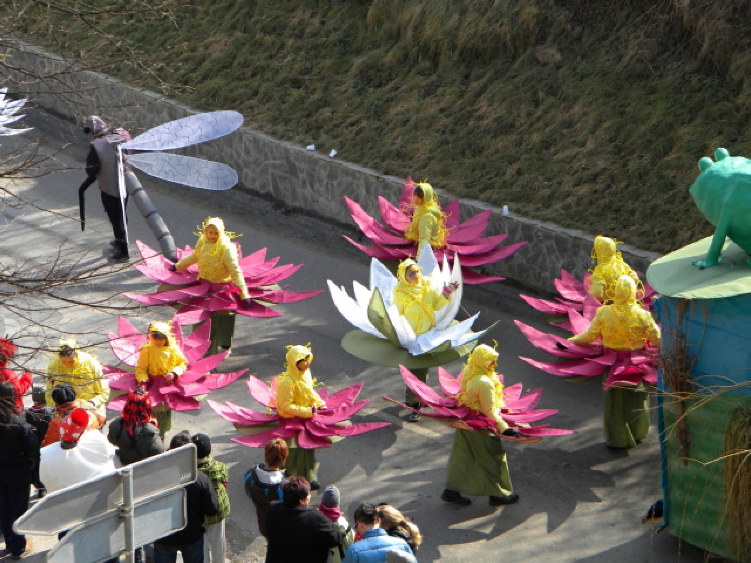 lokvanji in kačji pastirji