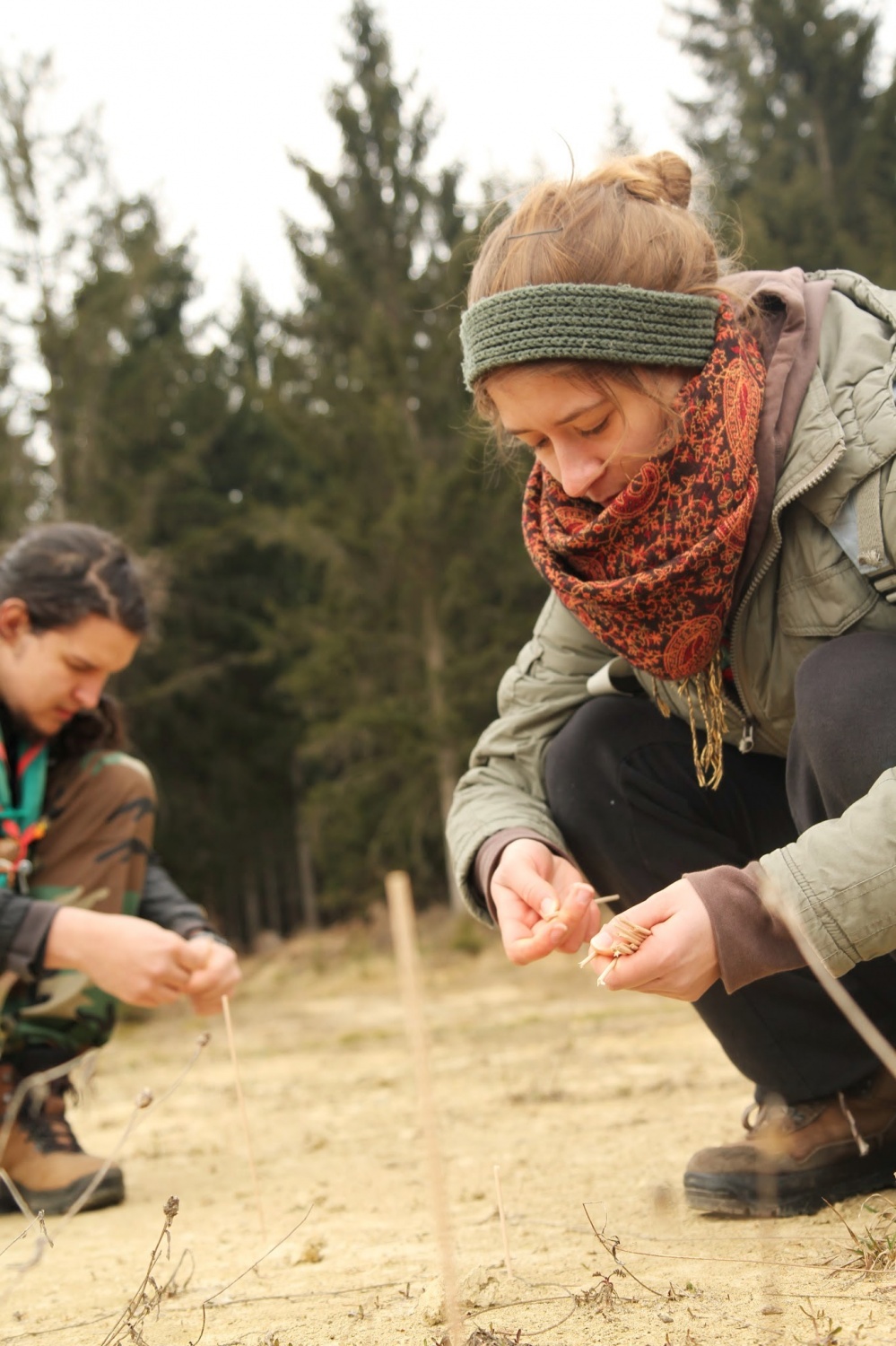 Stezosledski dan 2015