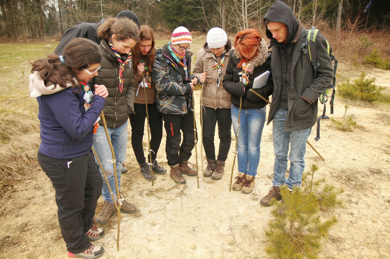 Stezosledski dan 2015