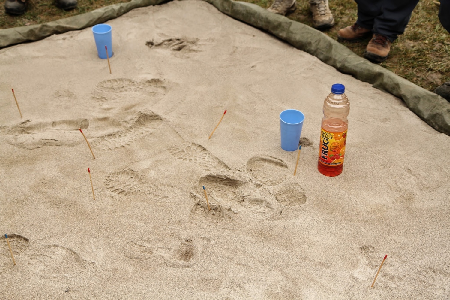 Stezosledski dan 2015