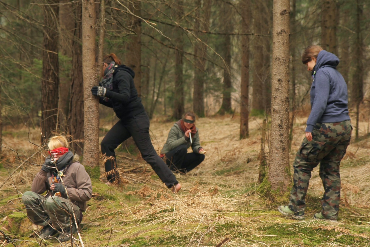 Stezosledski dan 2015