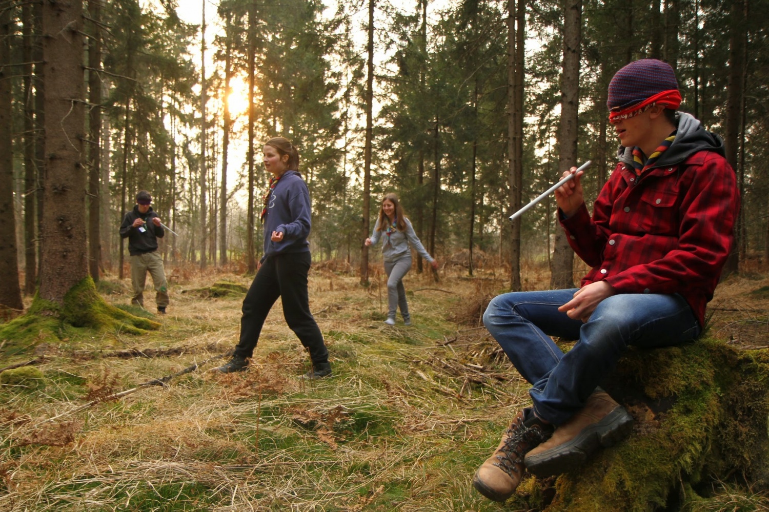 Stezosledski dan 2015