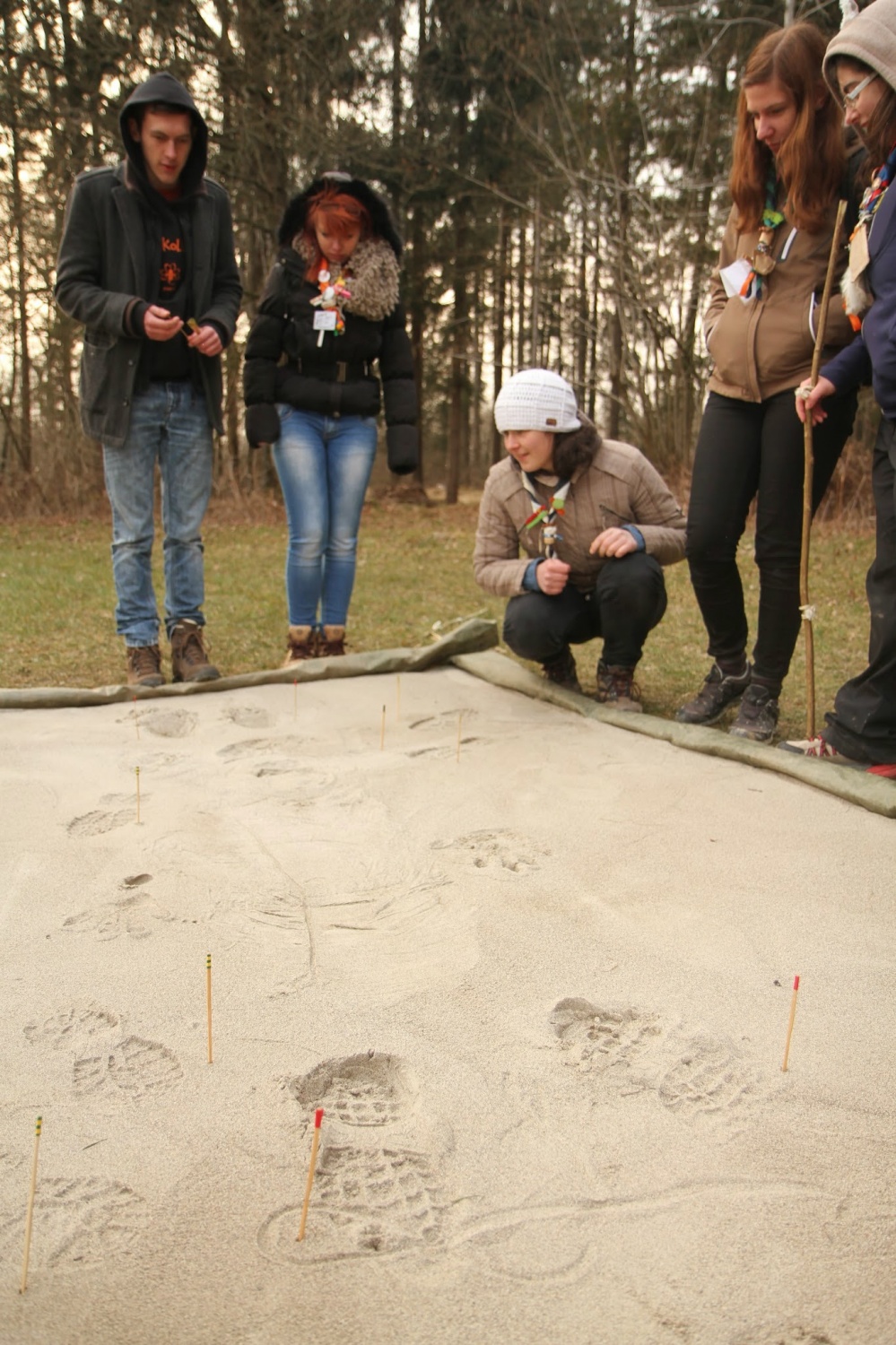 Stezosledski dan 2015