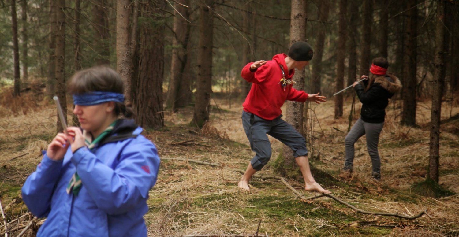 Stezosledski dan 2015