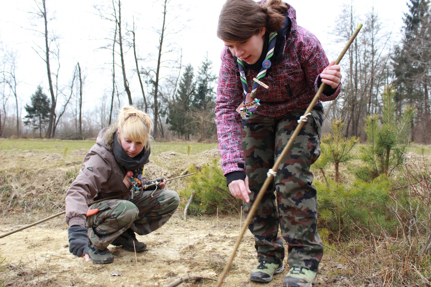 Stezosledski dan 2015