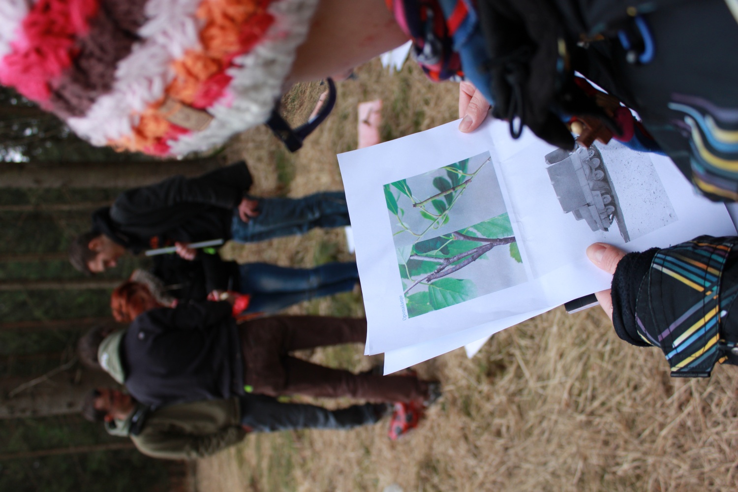 Stezosledski dan 2015