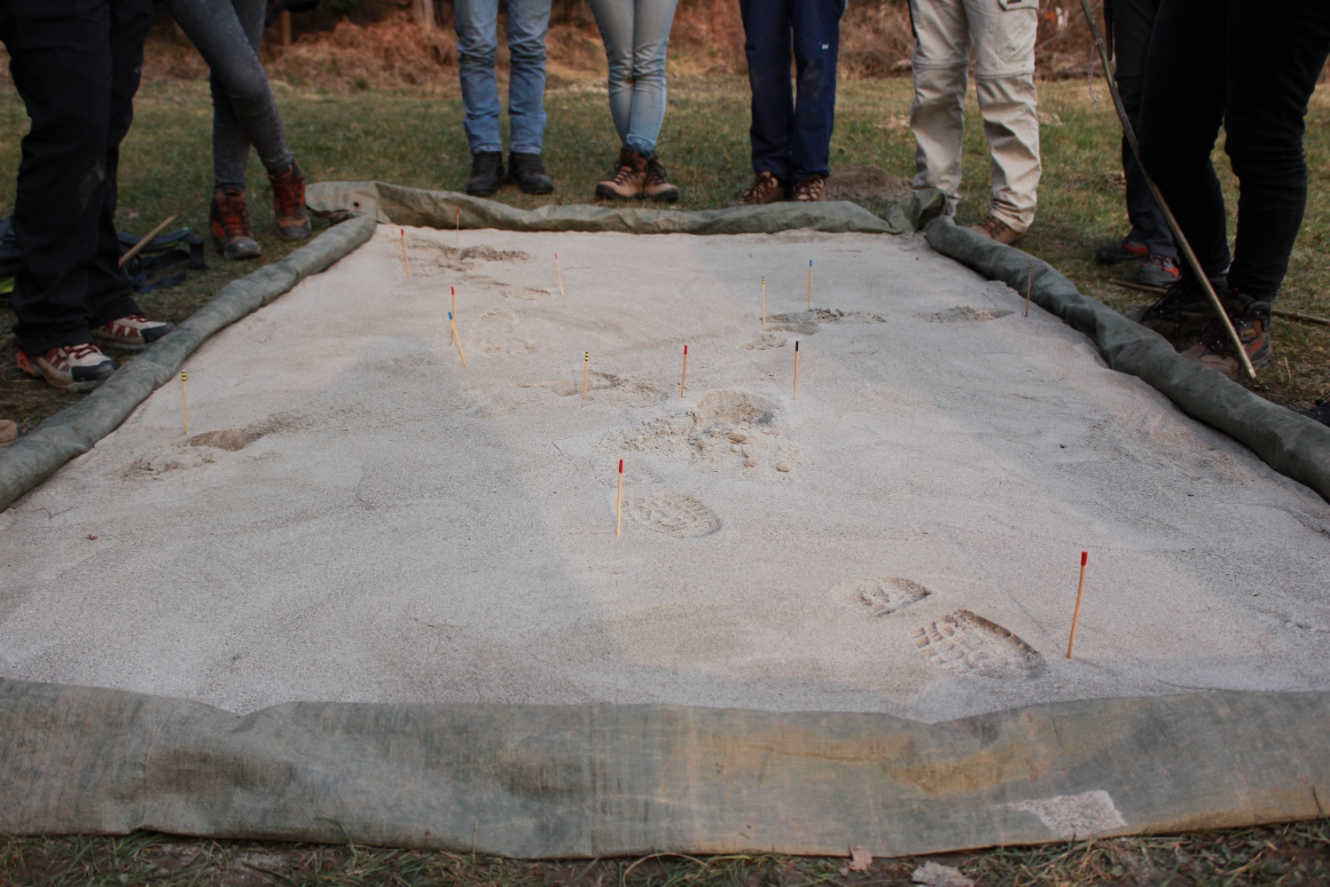 Stezosledski dan 2015