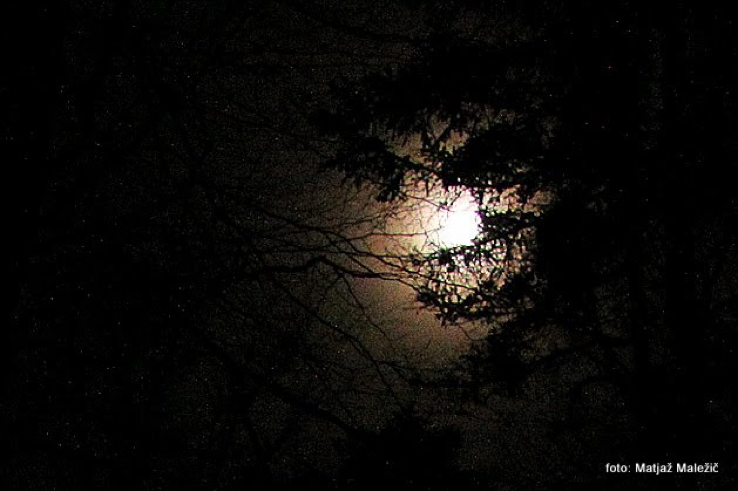 Napovedani pohod odraslih skavtov na Blegoš v noči iz 18. na 19. februar 2011 je uspel. Kot nagrada za zimski vzpon nas je pričakal vrh (1562 m) v siju polne lune. Pohoda so se udeležile skavtinje in skavti iz 7 bratovščin ( Cerkno, Kranj, Domžale, Škofja Loka, Štepanja vas, Brezovica, Celje 2) volčiči in klanovci iz stega Škofja Loka ter še nekaj gostov neskavtov, skupno 29 udeležencev.