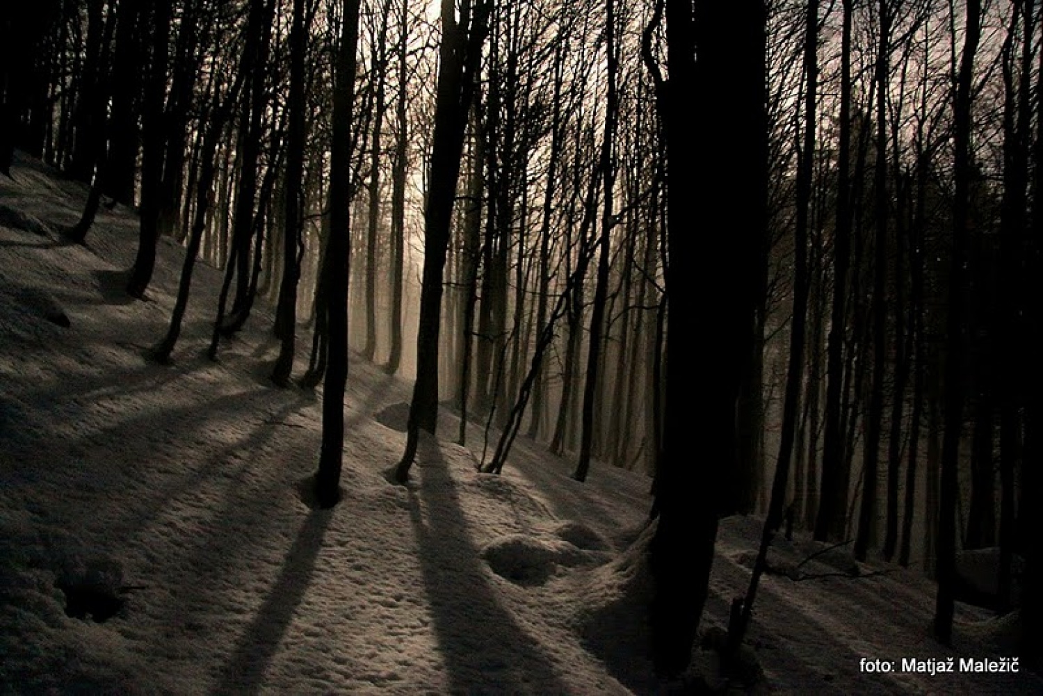 Napovedani pohod odraslih skavtov na Blegoš v noči iz 18. na 19. februar 2011 je uspel. Kot nagrada za zimski vzpon nas je pričakal vrh (1562 m) v siju polne lune. Pohoda so se udeležile skavtinje in skavti iz 7 bratovščin ( Cerkno, Kranj, Domžale, Škofja Loka, Štepanja vas, Brezovica, Celje 2) volčiči in klanovci iz stega Škofja Loka ter še nekaj gostov neskavtov, skupno 29 udeležencev.