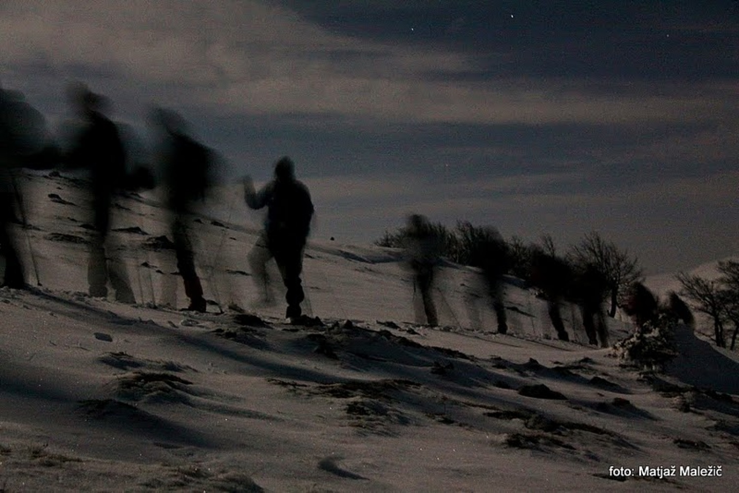Napovedani pohod odraslih skavtov na Blegoš v noči iz 18. na 19. februar 2011 je uspel. Kot nagrada za zimski vzpon nas je pričakal vrh (1562 m) v siju polne lune. Pohoda so se udeležile skavtinje in skavti iz 7 bratovščin ( Cerkno, Kranj, Domžale, Škofja Loka, Štepanja vas, Brezovica, Celje 2) volčiči in klanovci iz stega Škofja Loka ter še nekaj gostov neskavtov, skupno 29 udeležencev.