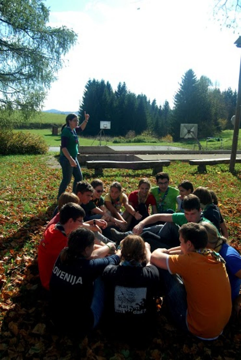 Čreda zmedenega goveda