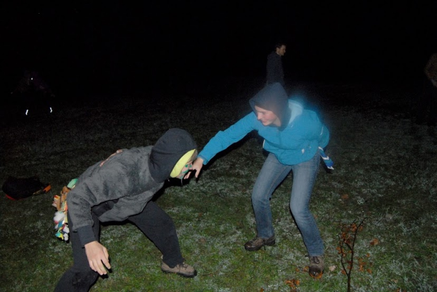 Pridi sem pes! Um... Rdeči pes!