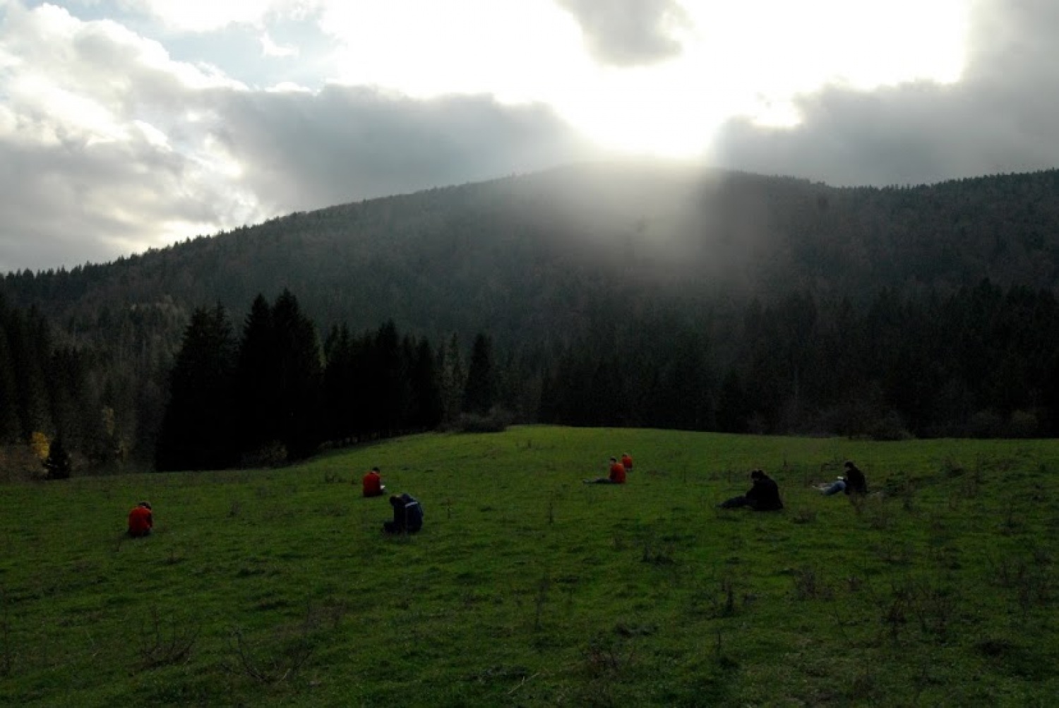 Idila ob reševanju preverb