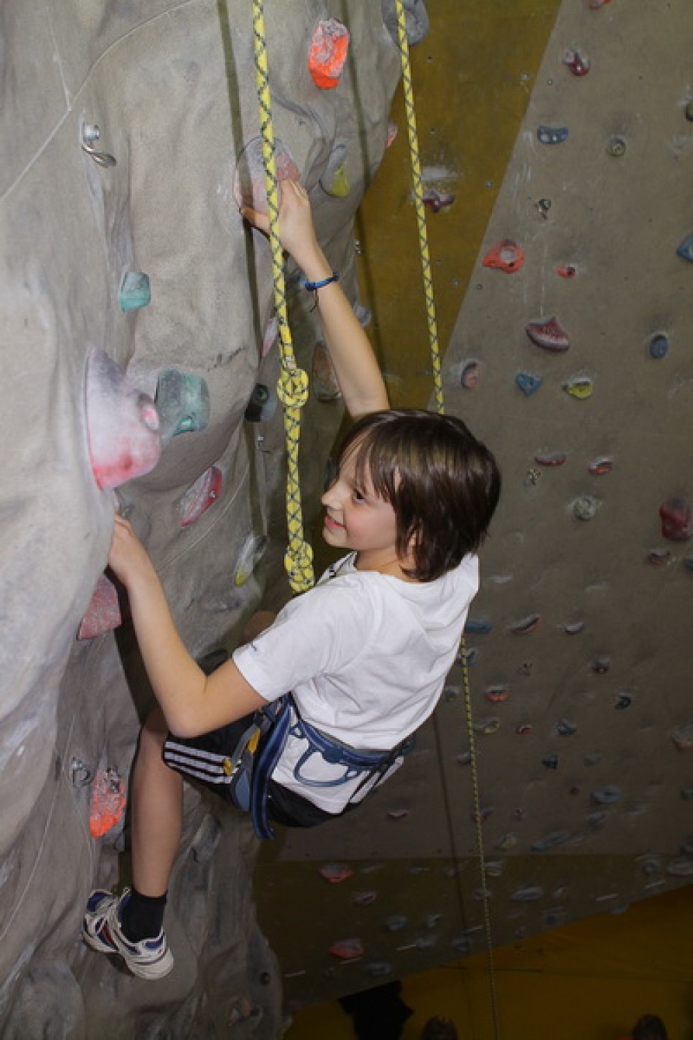 Bogato skavtsko srečanje smo si pripravili odrasli skavti in skavtinje v nedeljo na Loškem. Najprej petje pri maši v Žireh, praznovanje okrogle obletnice na Žirovskem vrhu in plezanje na umetni steni.