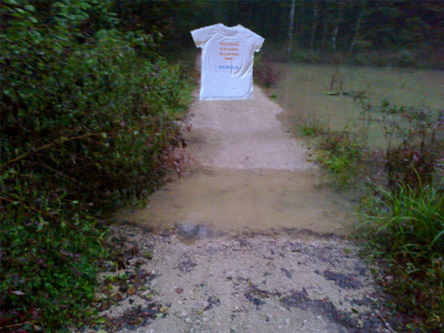 Priprave na ljubljanski maraton