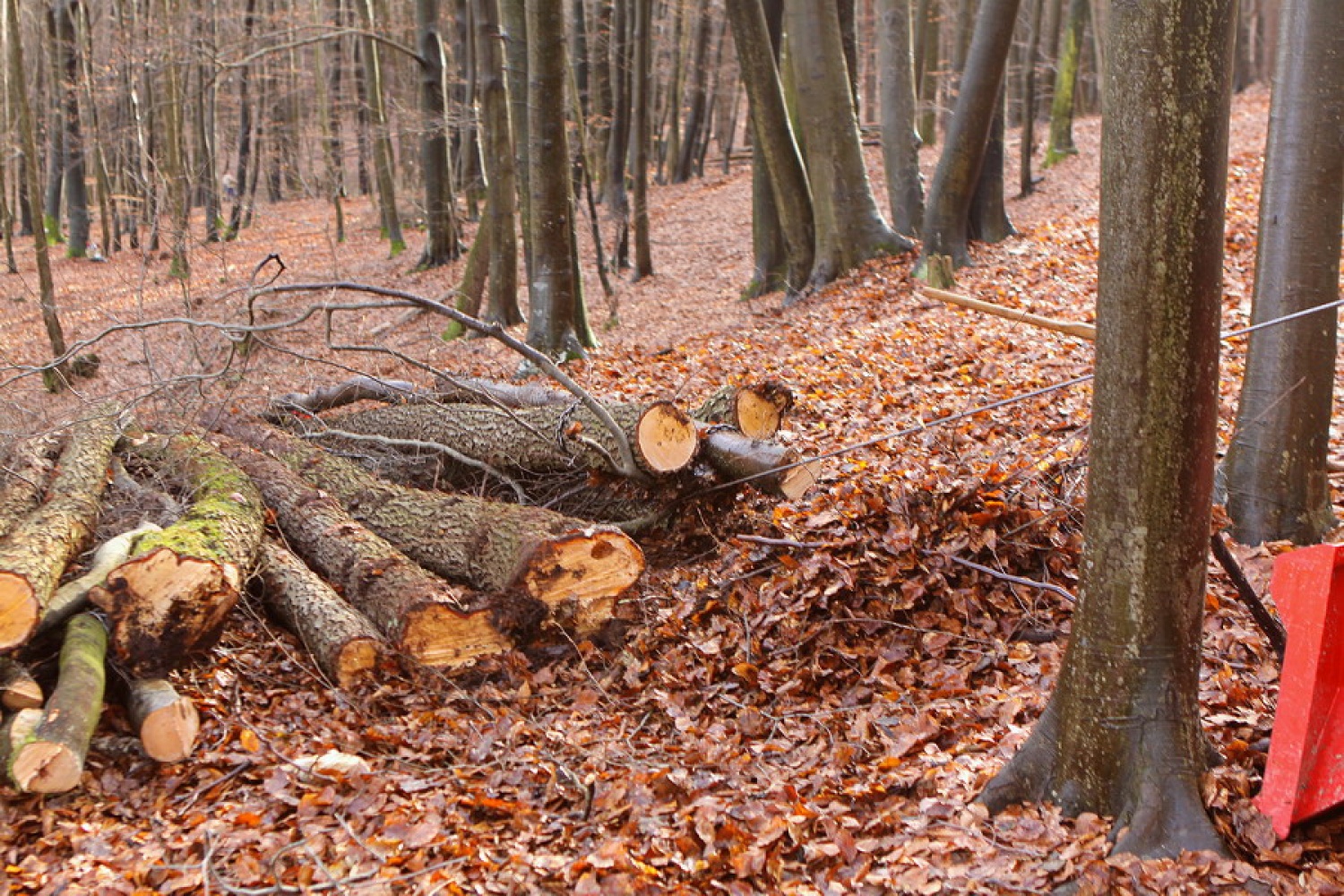 Duhovne vaje za odrasle skavte v Kančevcih od 7.do 9.1.2011 so se tokrat začele s služenjem kot pomoč Domu duhovnosti.To je bila dobra priprava na samo temo duhovnih vaj, ki je zajemala iz temeljev naše vere.