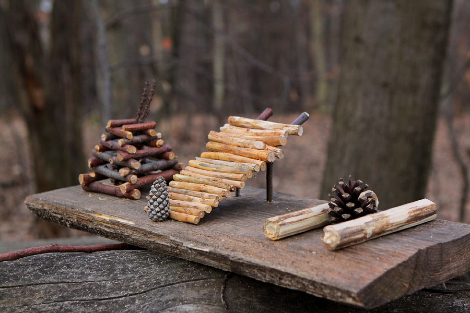 Duhovne vaje za odrasle skavte v Kančevcih od 7.do 9.1.2011 so se tokrat začele s služenjem kot pomoč Domu duhovnosti.To je bila dobra priprava na samo temo duhovnih vaj, ki je zajemala iz temeljev naše vere.