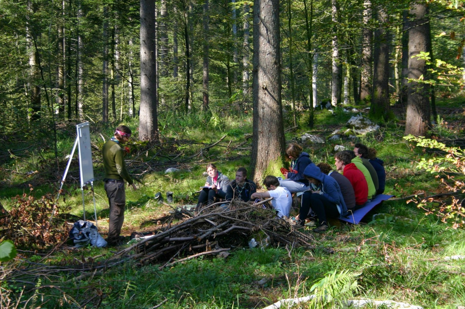 Teorija o stezosledstvu