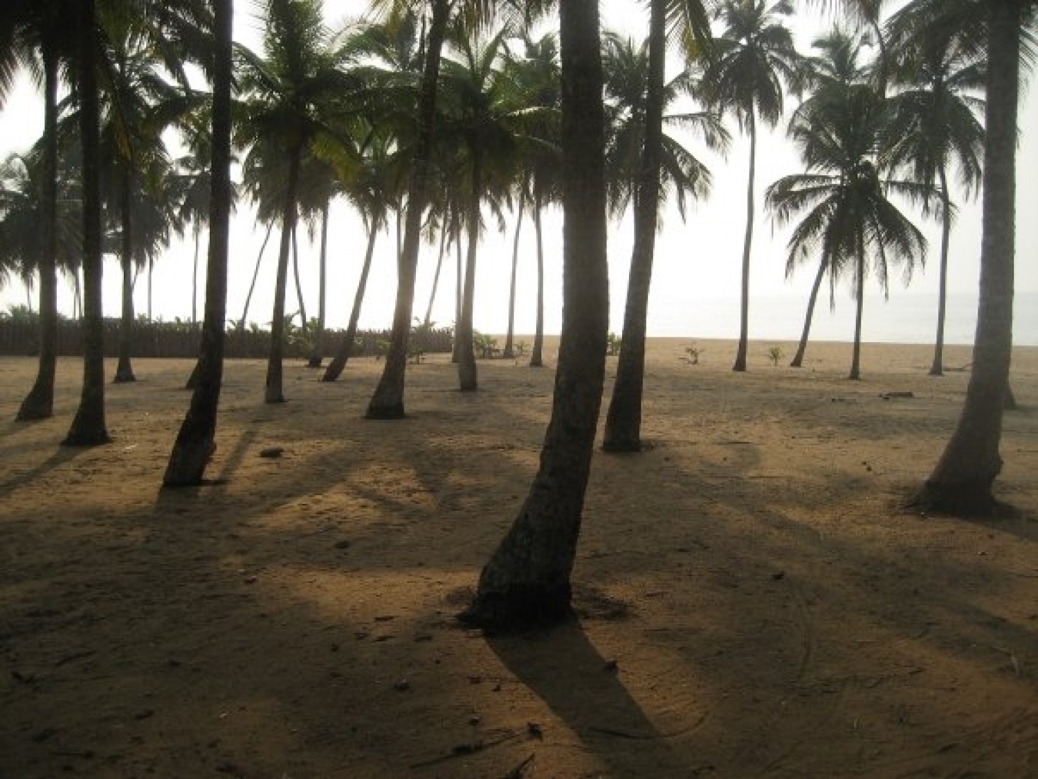 Peščena plaža je skavtski dom 1