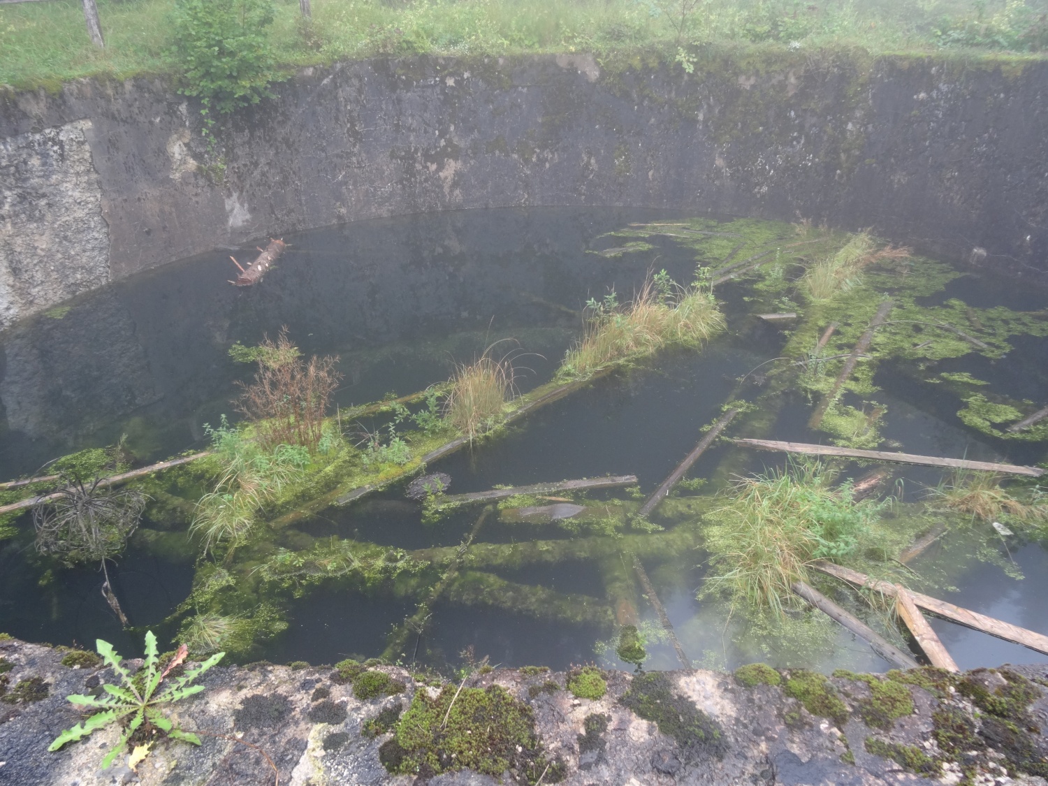 Odprli smo vrata (VIDEO)