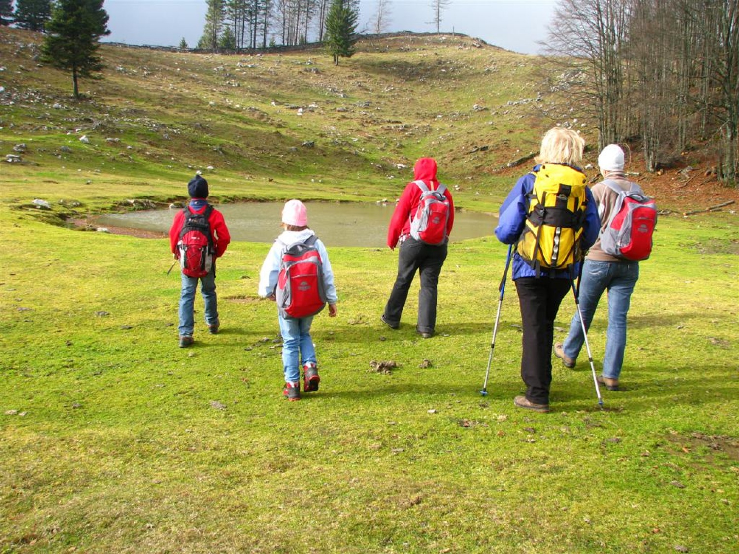 Jezerca na planini Bibi