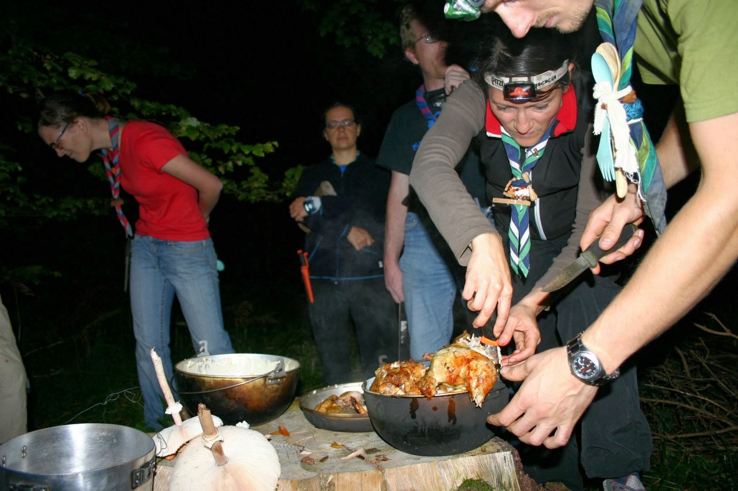 O štiridnevnem skavtovanju v notranjskih gozdovih (ŽVN II)