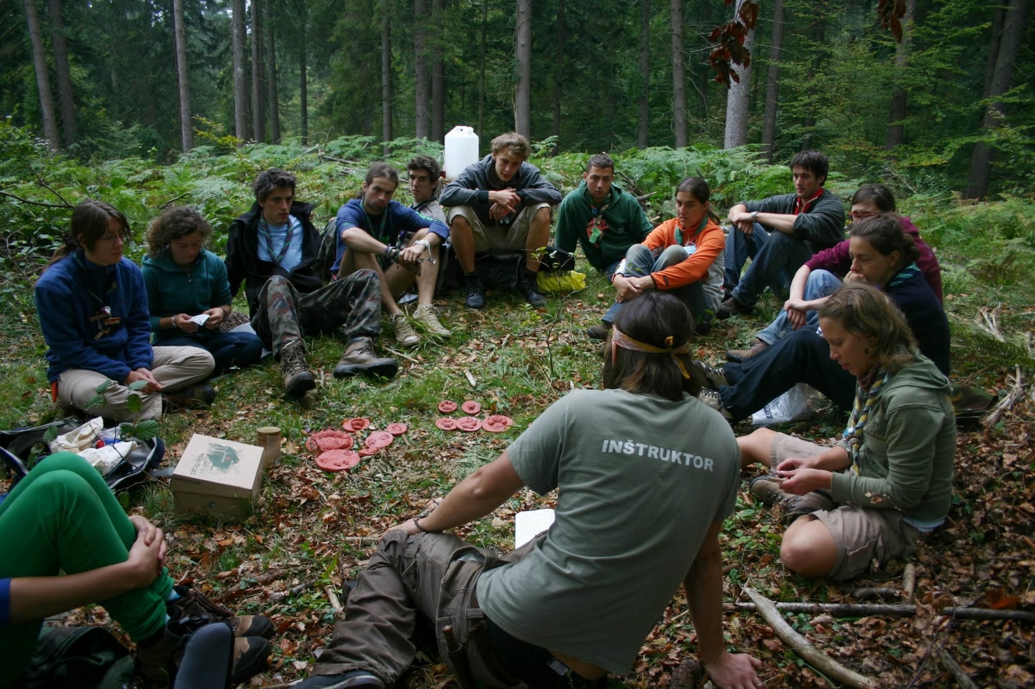 O štiridnevnem skavtovanju v notranjskih gozdovih (ŽVN II)