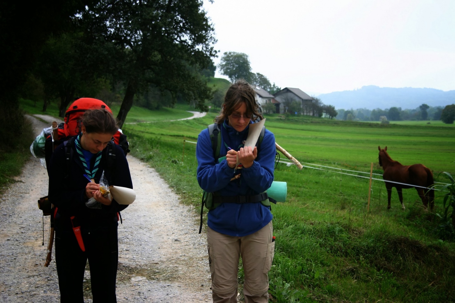 O štiridnevnem skavtovanju v notranjskih gozdovih (ŽVN II)