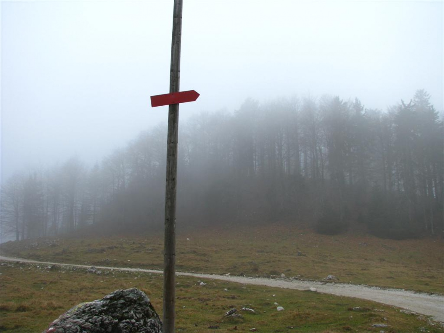 Kažipot v megli