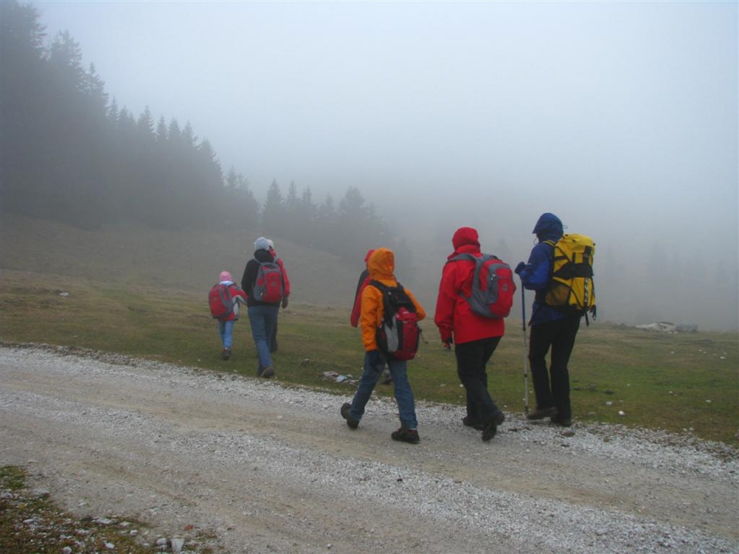 Proti koči na Menini