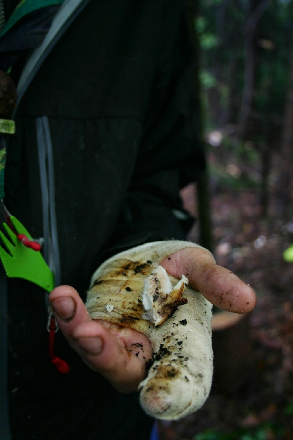 O štiridnevnem skavtovanju v notranjskih gozdovih (ŽVN II)