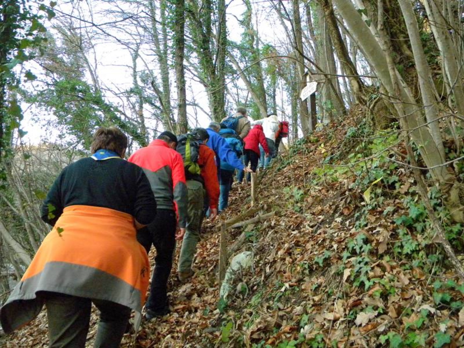 Zagrizli smo v breg.