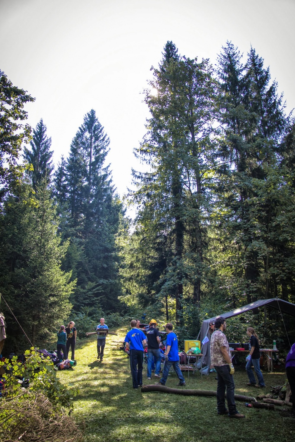 Črno-beli? Ne, POBARVANI! (VIDEO)