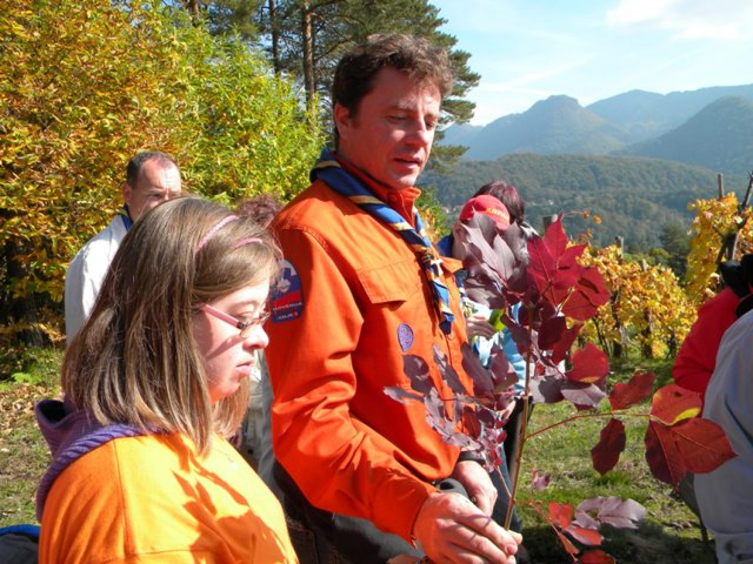 Nabrana vejica z listi