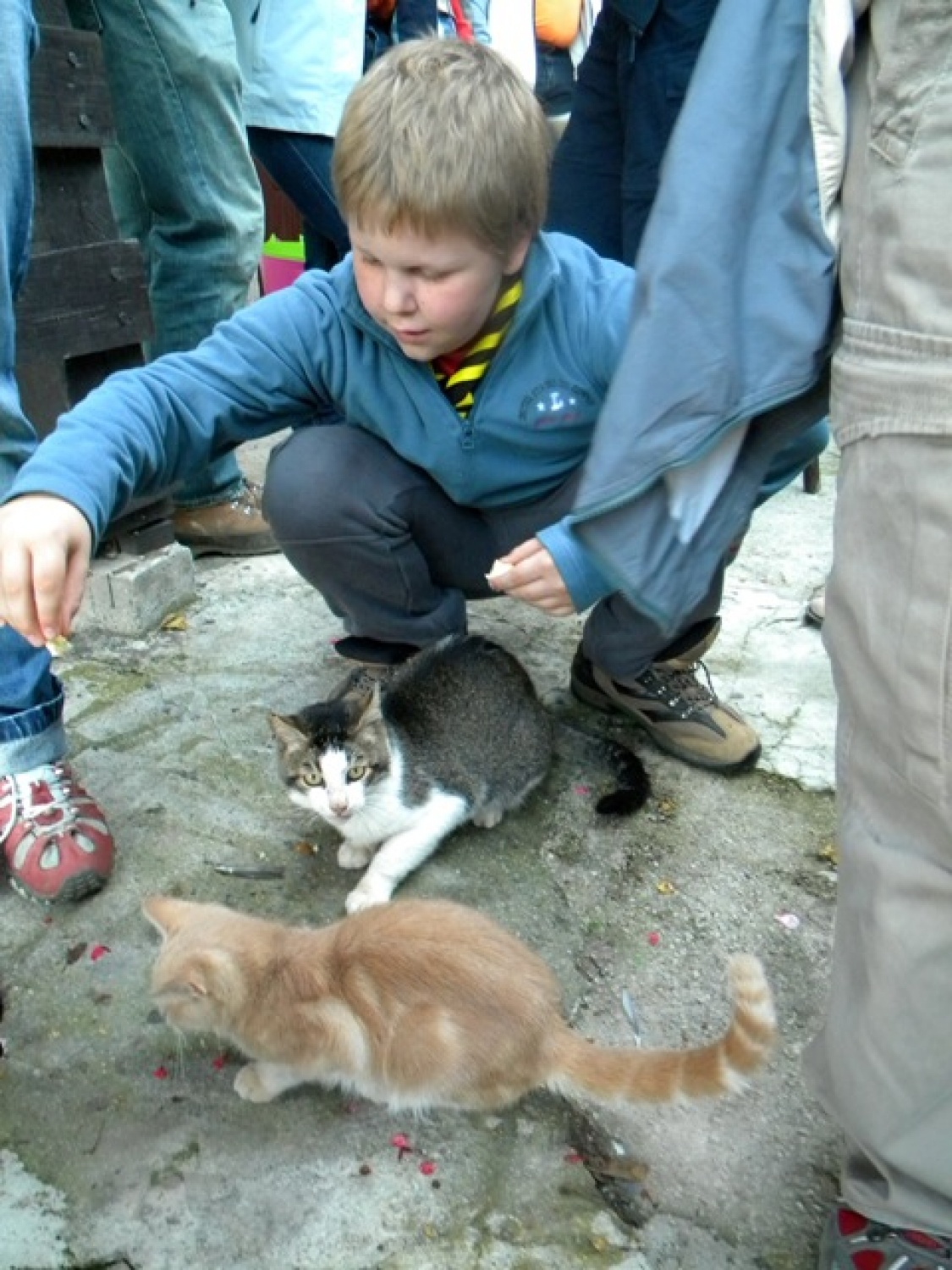 Tudi muco je potrebno nahranit.