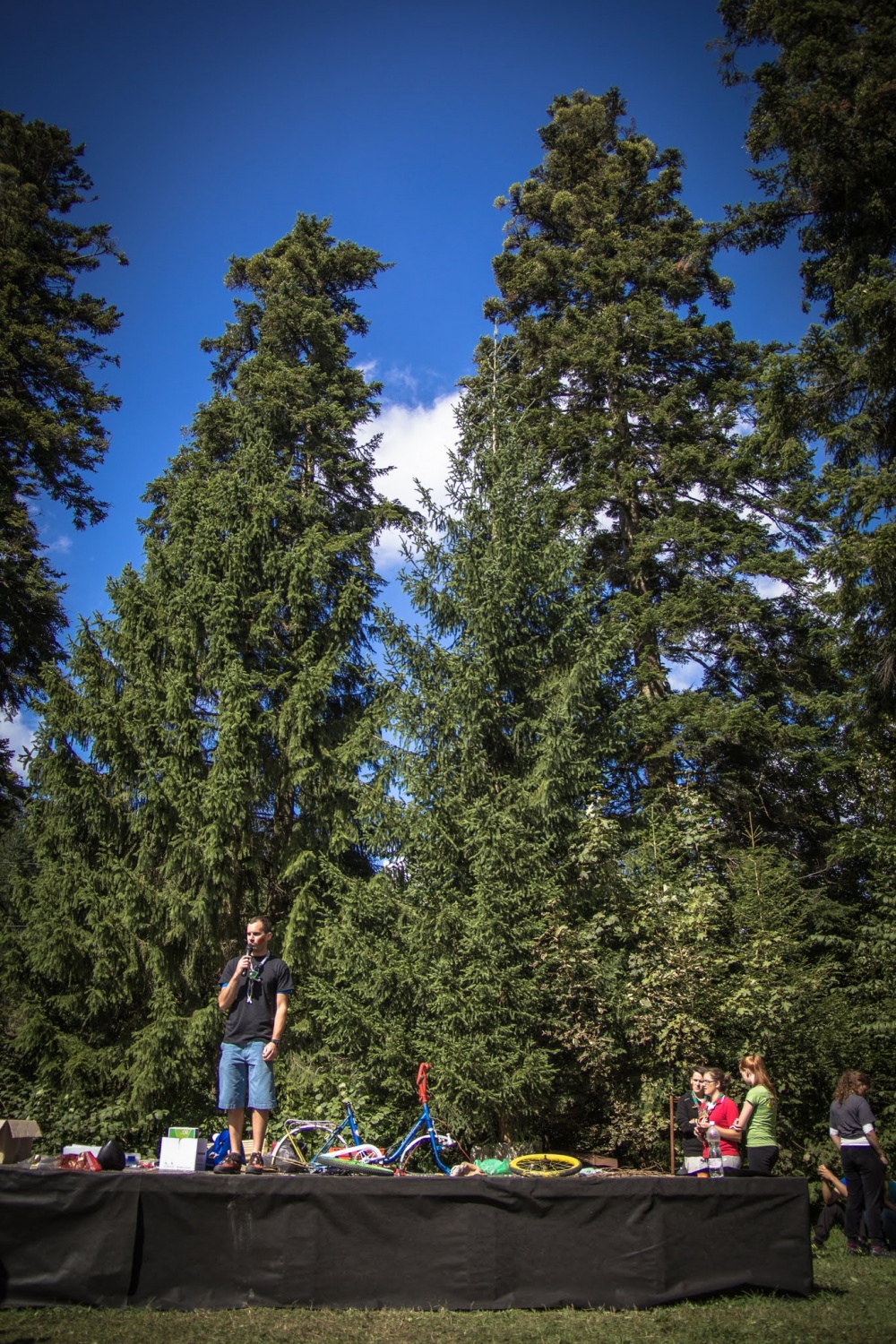 Črno-beli? Ne, POBARVANI! (VIDEO)