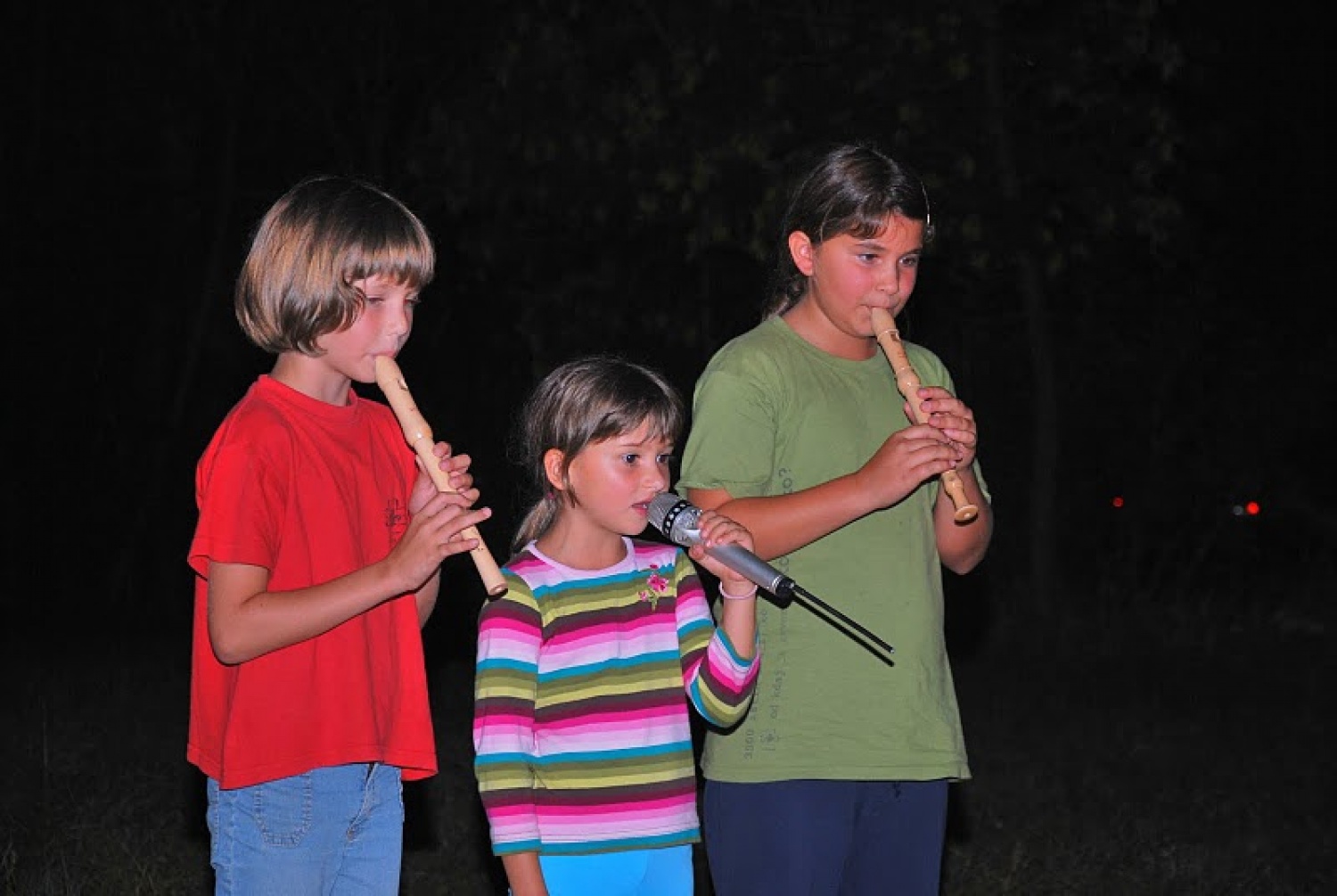 Ježi imamo talent - glasbeni trio