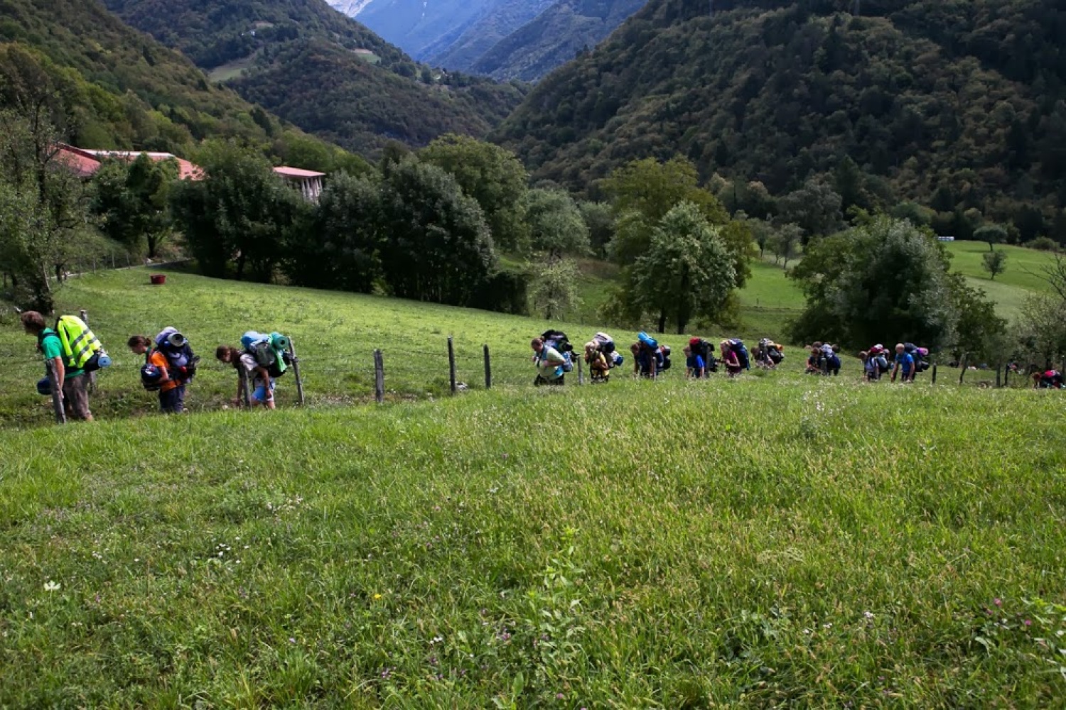 naša četica koraka I