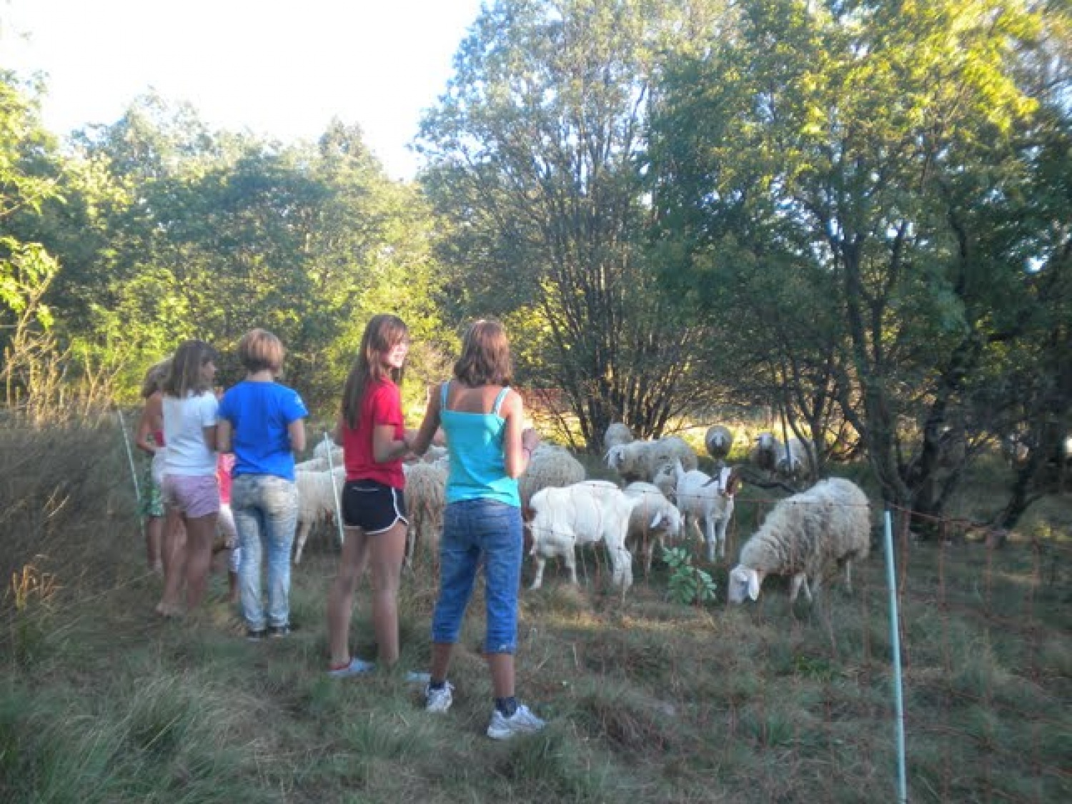 Z geslom »Mi se imamo radi« smo doživeli naš tabor na Krasu od 26. do 29.avgusta. Naš program je bil pester, a s pomočjo dela v skupinah smo zmogli izpeljati vse in še več od zastavljenega plana. To skupno bivanje na taborih nas vedno poveže, saj se preizkusimo v potrpežljivosti, pripravljenosti in sodelovanju drug z drugim.  To leto obeležujemo tudi  desetletnico delovanja naše bratovščine, zato je bila to tudi potrditev tega, da nam je še vedno skupaj lepo.